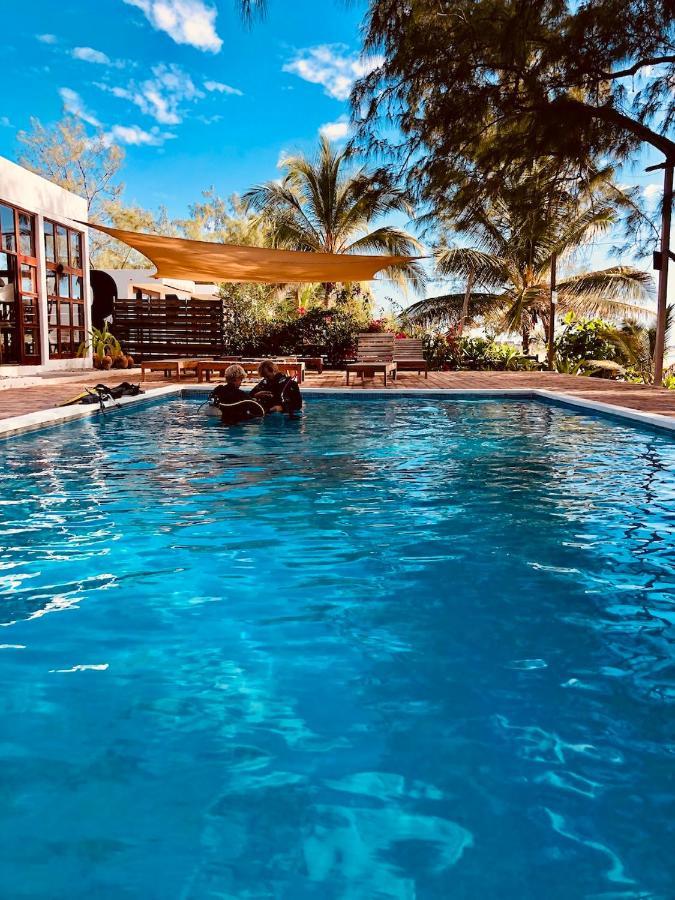 Liquid Dive Adventures Bed & Breakfast Tofo Exterior photo