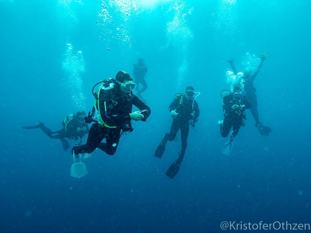 Liquid Dive Adventures Bed & Breakfast Tofo Exterior photo