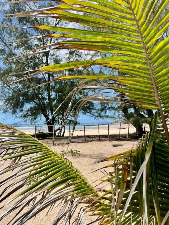 Liquid Dive Adventures Bed & Breakfast Tofo Exterior photo