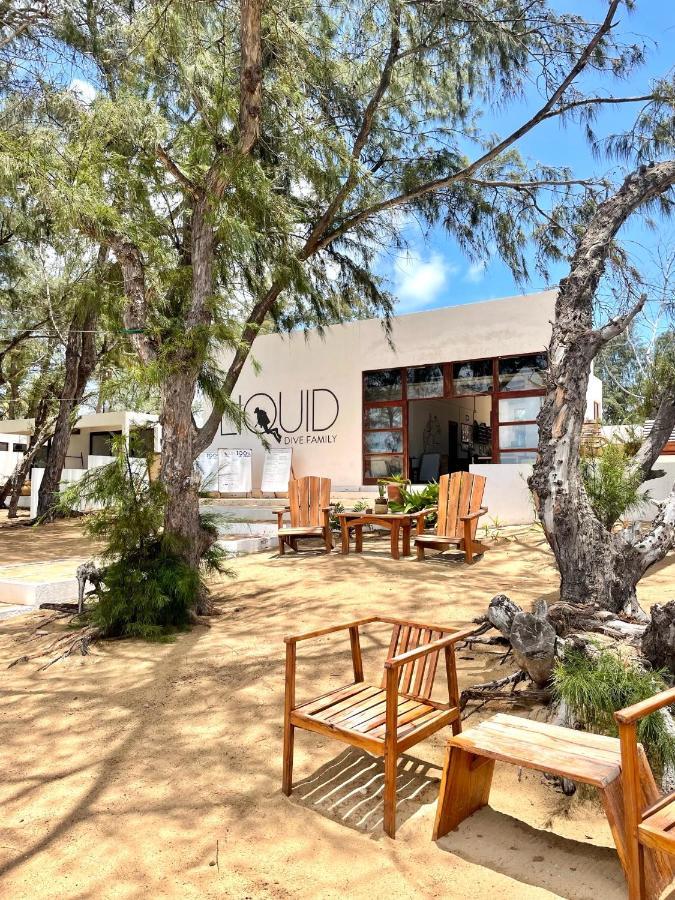 Liquid Dive Adventures Bed & Breakfast Tofo Exterior photo