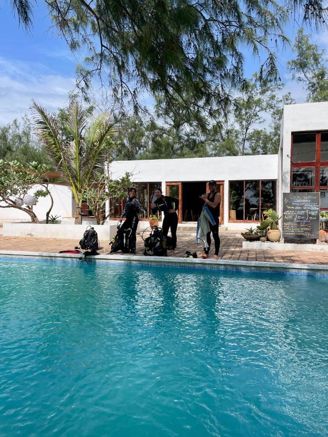 Liquid Dive Adventures Bed & Breakfast Tofo Exterior photo