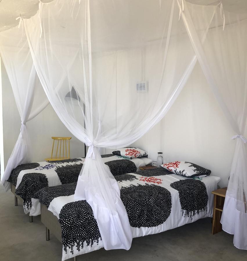Liquid Dive Adventures Bed & Breakfast Tofo Exterior photo