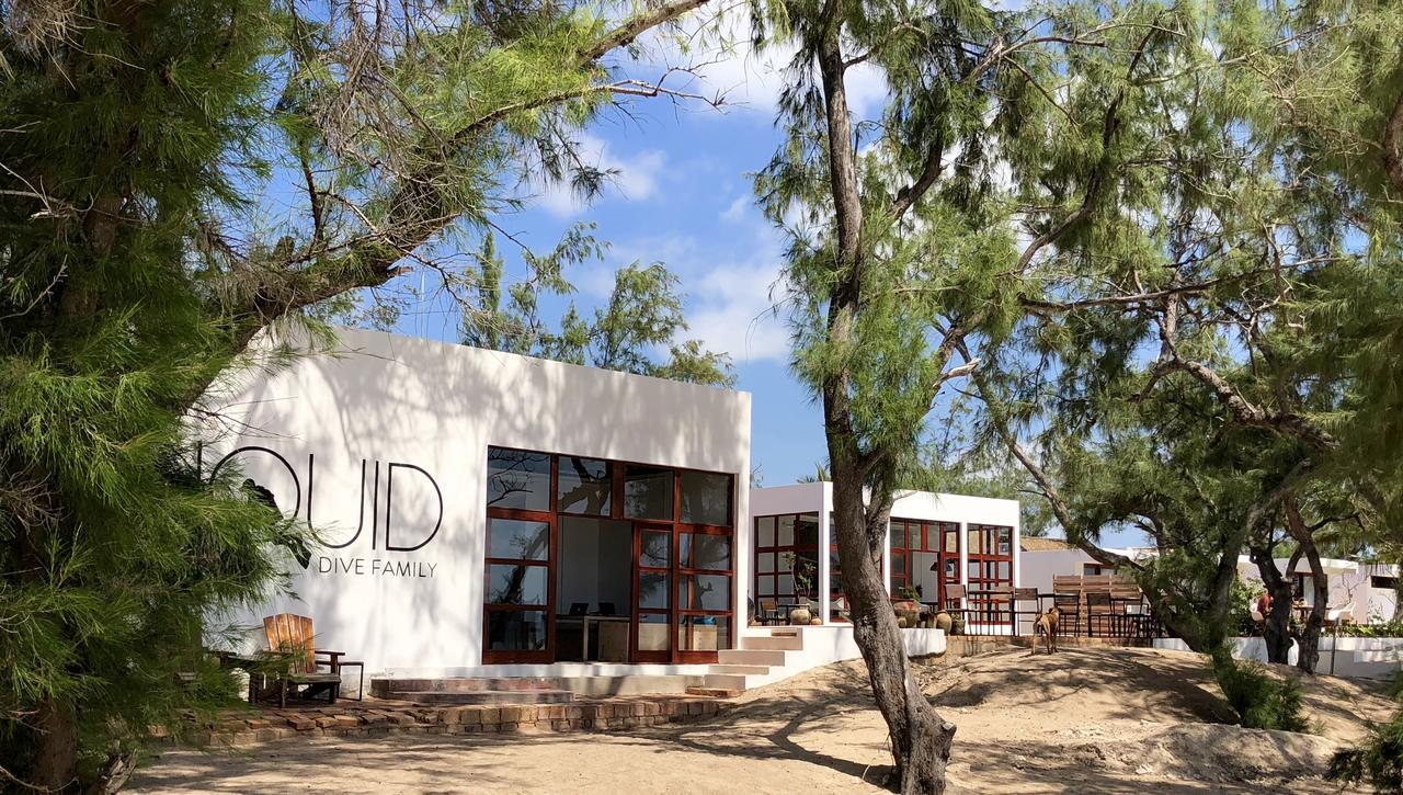 Liquid Dive Adventures Bed & Breakfast Tofo Exterior photo