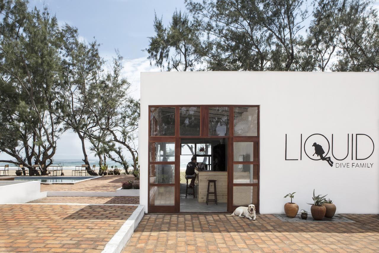 Liquid Dive Adventures Bed & Breakfast Tofo Exterior photo