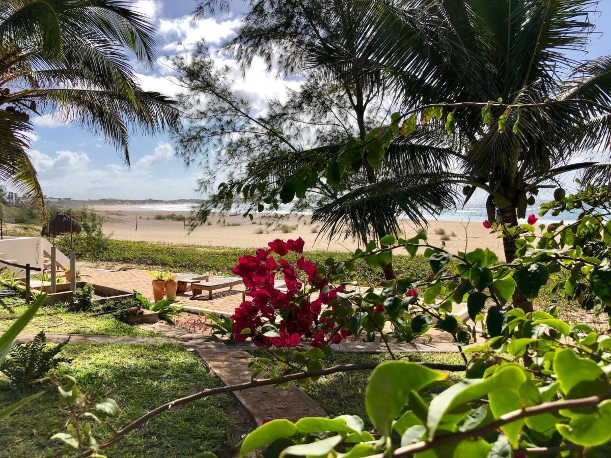 Liquid Dive Adventures Bed & Breakfast Tofo Exterior photo